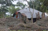 পিরোজপুরে একের পর এক নদী ভাঙ্গন, পাল্টে যাচ্ছে ভৌগলিক মানচিত্র