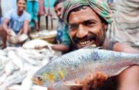 ইলিশের প্রজনন মৌসুমে জেলেদের জন্য ভিজিএফ চাল বরাদ্দ