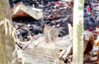 বরিশালের লামচরীতে ভয়াবহ অগ্নিকান্ডে ৮ বছরের শিশুর মৃত্যু