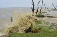 ঘূর্ণিঝড় ‘ইয়াস’ মোকাবিলায় পিরোজপুরে ৫৫৭ আশ্রয়কেন্দ্র প্রস্তুত