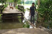 বাউফলে সেতু নয় যেন মরণ ফাঁদ- চরম ভোগান্তিতে জনগন