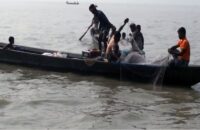 বরিশালে মা ইলিশ শিকার বন্ধে চরমোনাইসহ বিভিন্ন স্পটে পাহারা