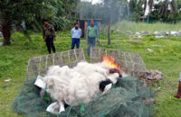 বরিশালে কারেন্ট জাল জব্দ