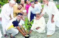 ময়লার ভাগারকে ফুলের বাগানে রুপ দিয়ে প্রশংসায় ভাসছেন শাহিন সিকদার