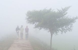 ১৬ জেলার তাপমাত্রা ১১ ডিগ্রির নিচে