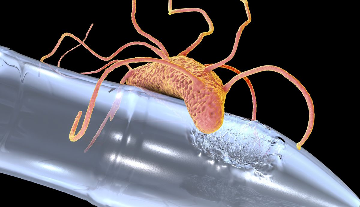 Plastic-degrading bacteria Ideonella sakaiensis, 3D illustration. Recently discovered bacteria that have potential in destruction of plastic wastes