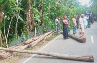 পিরোজপুরে পিকআপ ভ্যানের ধাক্কায় ২ পথচারী নিহত, আহত ৪