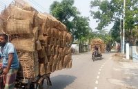 ঝালকাঠিতে মাছ ধরার ফাঁদ বিক্রির হাট, ব্যস্ত কারিগররা