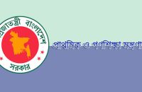 দেশের ১১ সরকারি প্রাথমিক স্কুলের নাম পরিবর্তন