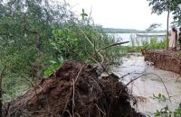 বরিশালে অবৈধ বালু উত্তোলনে নদী ভাঙ্গন, দিশেহারা শতাধিক পরিবার