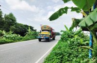 মহাসড়কের ফুটপাতজুড়ে ঝোপঝাড়, ঝুঁকি নিয়ে চলাচল