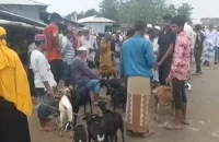 কলাপাড়ায় মহাসড়ক দখল করে পশুর হাট, বন্ধ করল প্রশাসন