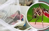 বরিশালে চোখ রাঙাচ্ছে ডেঙ্গু, ‍একদিনে তিন জনের মৃত্যু