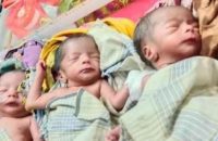 পটুয়াখালীতে একসঙ্গে ৩ সন্তানের জন্ম, অর্থ সংকটে দুশ্চিন্তায় বাবা-মা