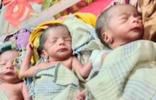 পটুয়াখালীতে একসঙ্গে ৩ সন্তানের জন্ম, অর্থ সংকটে দুশ্চিন্তায় বাবা-মা
