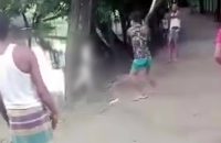 নৃশংসভাবে পিটিয়ে ও ফাঁস দিয়ে কুকুর হত্যা, একজনকে জরিমানা
