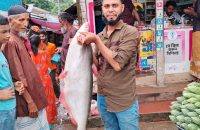 পায়রা নদীতে বড়শিতে উঠল ১১ কেজির পাঙাশ