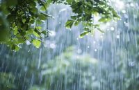 বৃষ্টি থাকবে, কমবে দিনের তাপমাত্রা