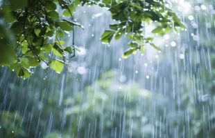 বৃষ্টি থাকবে, কমবে দিনের তাপমাত্রা