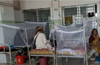 বরিশালে নতুন আক্রান্ত ৯৮ জন ডেঙ্গু রোগী হাসপাতালে ভর্তি