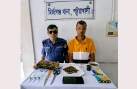 মির্জাগঞ্জে মাদক সম্রাট জিয়া সিকদার আটক