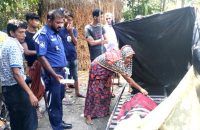 লালমোহনে সাপের কামড়ে গৃহবধূর মৃত্যু