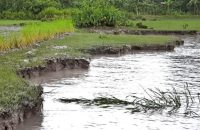 পটুয়াখালীতে রাতের আঁধারে নদী তীরের মাটি গিলে খাচ্ছে প্রভাবশালীরা!