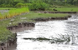 পটুয়াখালীতে রাতের আঁধারে নদী তীরের মাটি গিলে খাচ্ছে প্রভাবশালীরা!