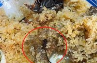 বরিশাল বিশ্ববিদ্যালয়ে ঐক্য ও বিজয় ফিস্টের খাবারে পোকামাকড়, শিক্ষার্থীদের ক্ষোভ