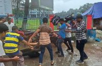 বরিশাল শেবাচিম হাসপাতালের কর্মীদের ধাওয়া ও মারধরে শিক্ষার্থীদের অনশন পণ্ড
