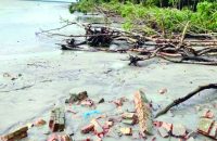 বরগুনার বিদ্যুৎ কেন্দ্রের বর্জ্যে দূষিত হচ্ছে পায়রা-বিষখালী নদীর পানি