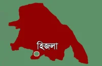 হিজলায় মেঘনা নদীতে জাহাজের ধাক্কায় মাল বোঝাই জাহাজ ডুবি