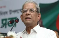 নির্বাচন না হলে জাতি ক্ষতিগ্রস্ত হবে : মির্জা ফখরুল