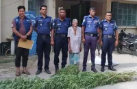 রোদে গাঁজা শুকাতে গিয়ে বৃদ্ধ আটক