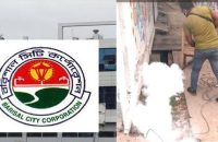 বরিশালে কমেছে মশার উপদ্রোব