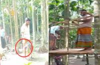 বরিশালে বিএনপি নেতার ভাইয়ের নেতৃত্বে বসতবাড়ি দখল