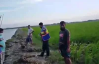 বাউফলে শিশুর হাত-পা-মাথাবিহীন মরদেহ উদ্ধার