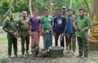 বিনা পাসে সুন্দরবনে প্রবেশ, কাঁকড়াসহ আটক ৩