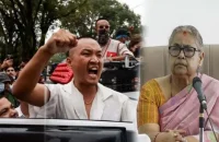 নেপালে ফের বিক্ষোভ, নতুন প্রধানমন্ত্রীকেও চায় না জেন-জি