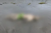 কুয়াকাটা সৈকত থেকে অর্ধগলিত মরদেহ উদ্ধার