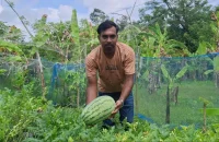অসময়ে তরমুজ চাষে সফল তরুণ চাষী