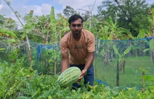 অসময়ে তরমুজ চাষে সফল তরুণ চাষী
