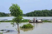 মাদকদ্রব্য নিয়ন্ত্রণ অধিদপ্তরের ধাওয়া খেয়ে নদীতে ঝাঁপ, ২১ ঘণ্টায়ও মেলেনি খোঁজ