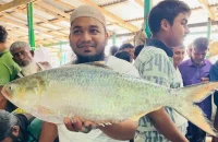 এক ইলিশ বিক্রি ১৪ হাজার টাকায়