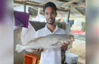 এক পোয়া মাছ বিক্রি ৮০ হাজার টাকায়