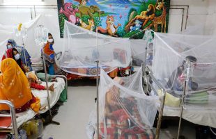 অক্টোবরে ডেঙ্গুর থাবায় বিপর্যস্ত বরিশাল