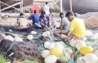 বেপরোয়া জেলেদের হামলায় অসহায় প্রশাসন