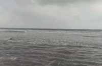 মধ্যরাত থেকে ৮ মাসের জাটকা শিকারে নিষেধাজ্ঞা শুরু