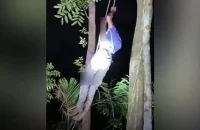 পটুয়াখালীতে শিশুকে হত্যার পর ৭০ ফুট গাছের ওপর ওঠেও রক্ষা পেল না যুবক