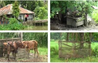 বাকেরগঞ্জে আওয়ামী লীগ নেত্রীর দখলে পৌর গোরস্থান, দখলমুক্ত করার দাবি